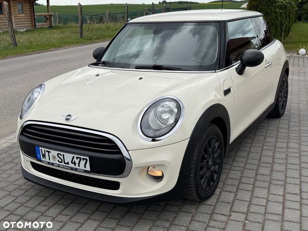 MINI ONE Blackyard - 19