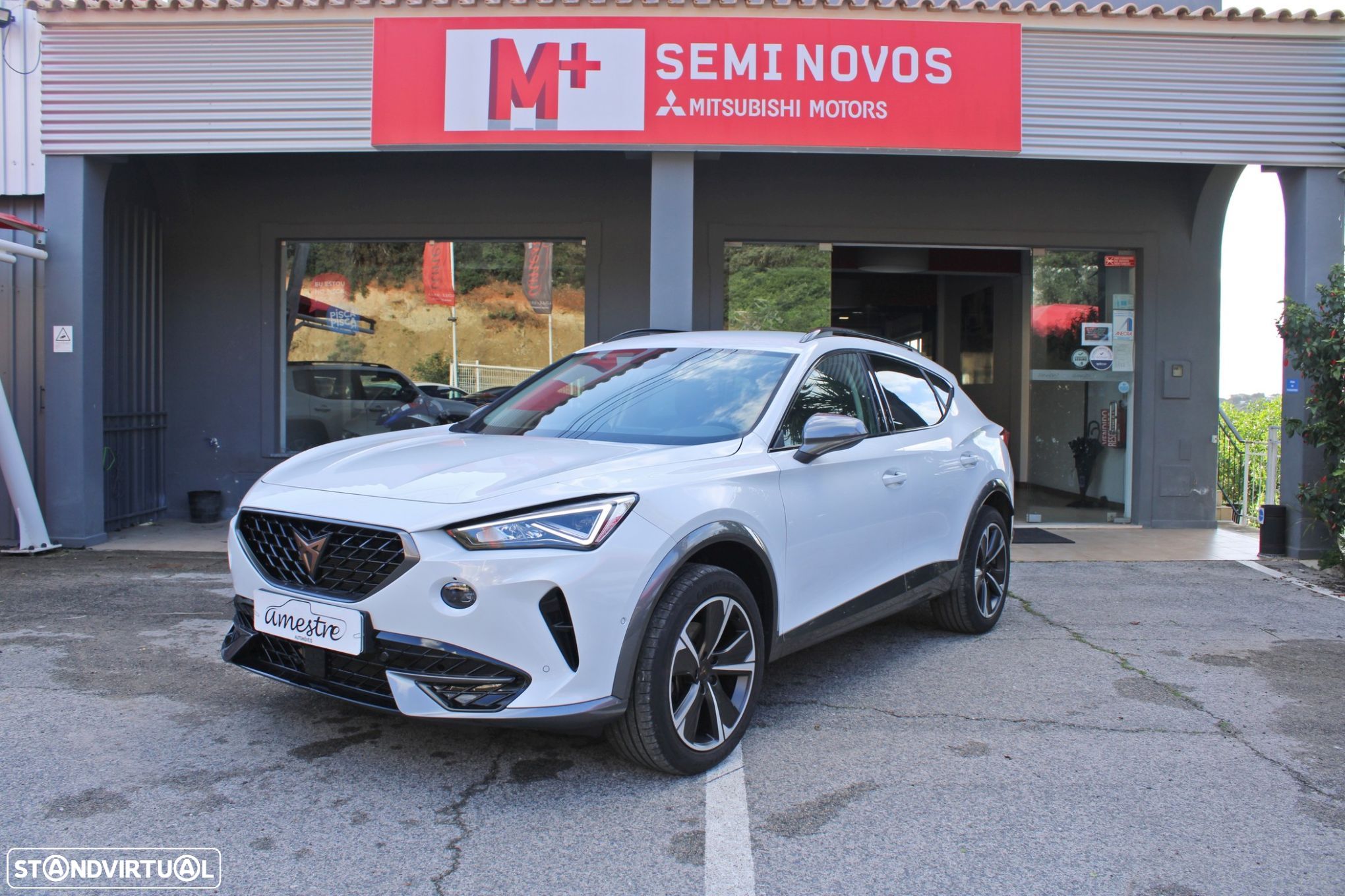 Cupra Formentor 2.0 TDI - 1