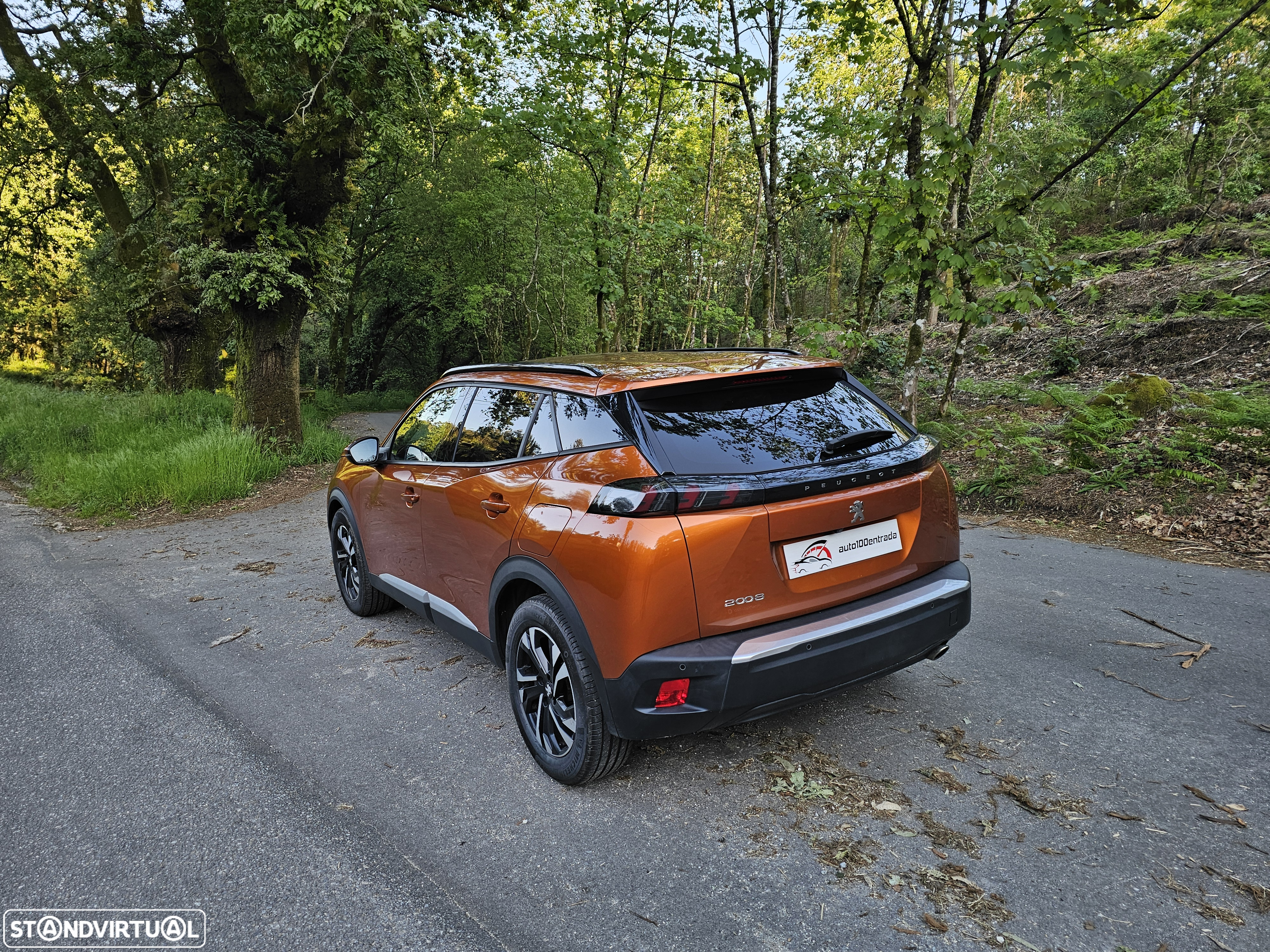Peugeot 2008 ver-1-5-bluehdi-allure - 5