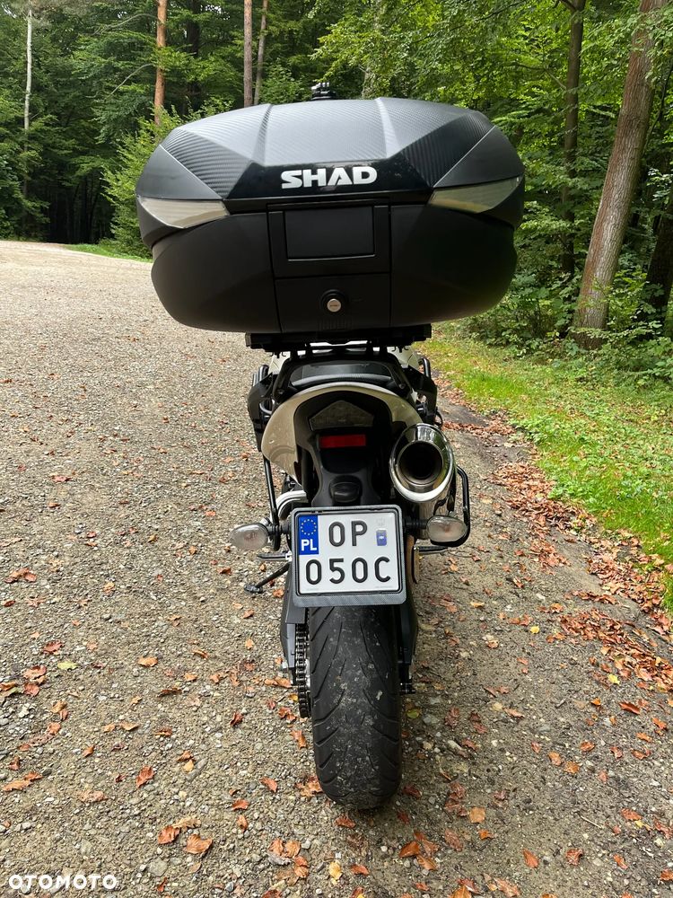 Triumph Tiger - 6