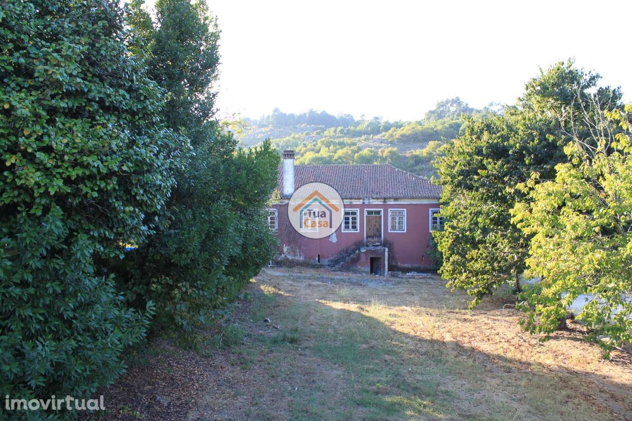 Quinta T5 Senhorial no Rio Dão - Grande imagem: 5/29