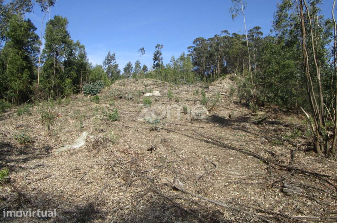 Terreno misto com 13.800 M2 em Guilhabreu V do Conde -Porto - Grande imagem: 4/15