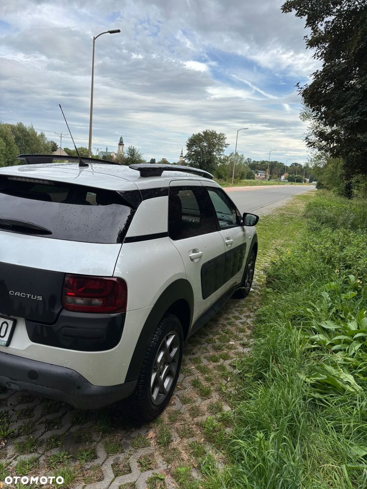Citroën C4 Cactus 1.2 PureTech Feel EU6 - 15