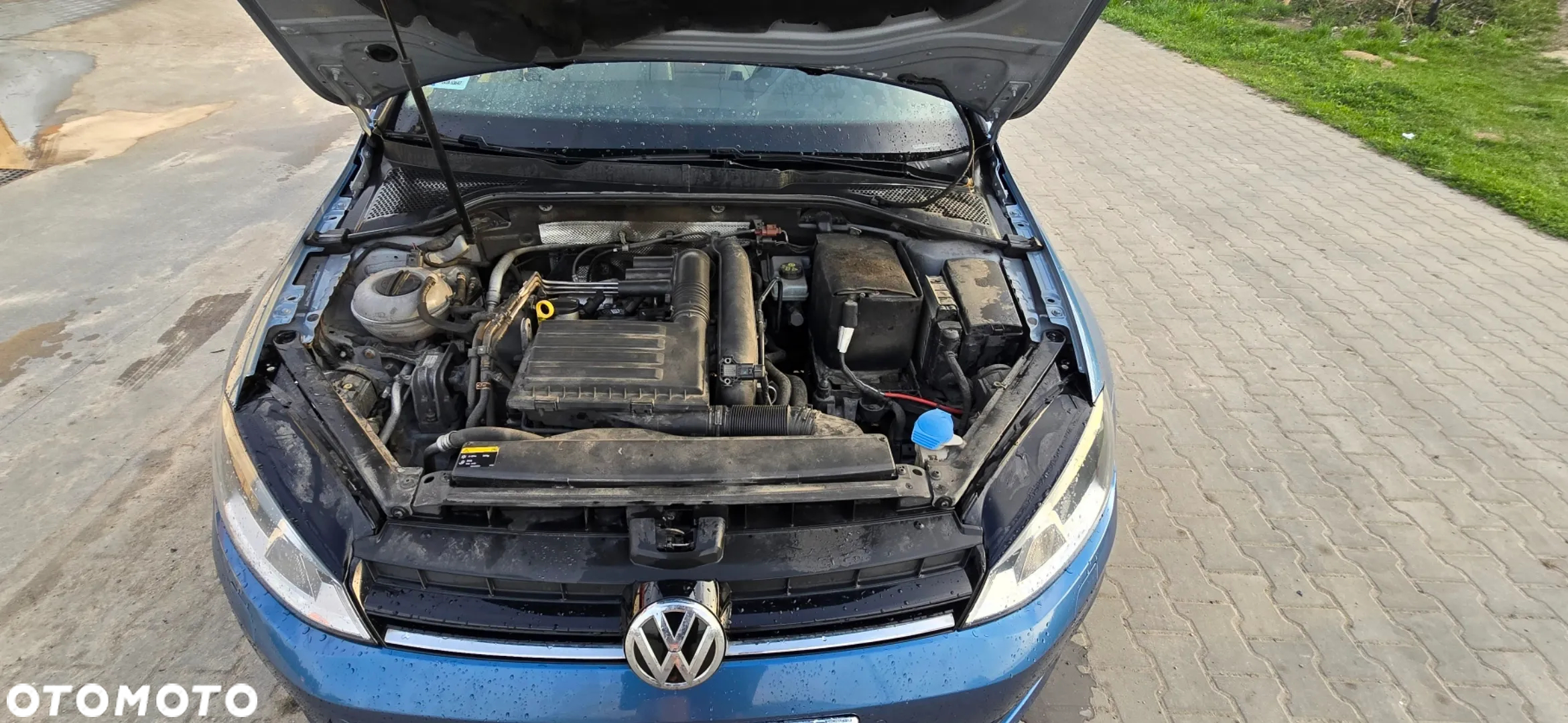 Volkswagen Golf - 7