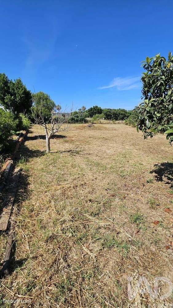 Terreno em Almancil de 1265,00 m2 - Grande imagem: 2/7