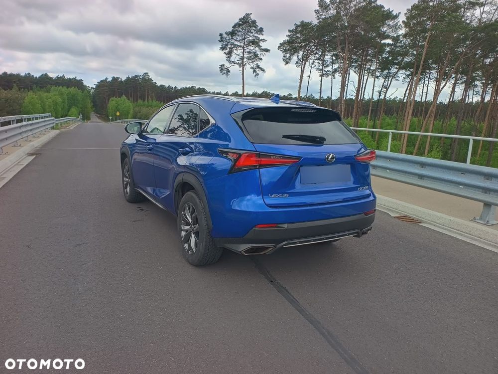 Lexus NX 300 F Sport AWD - 15