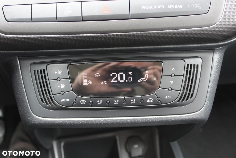 Seat Ibiza - 29