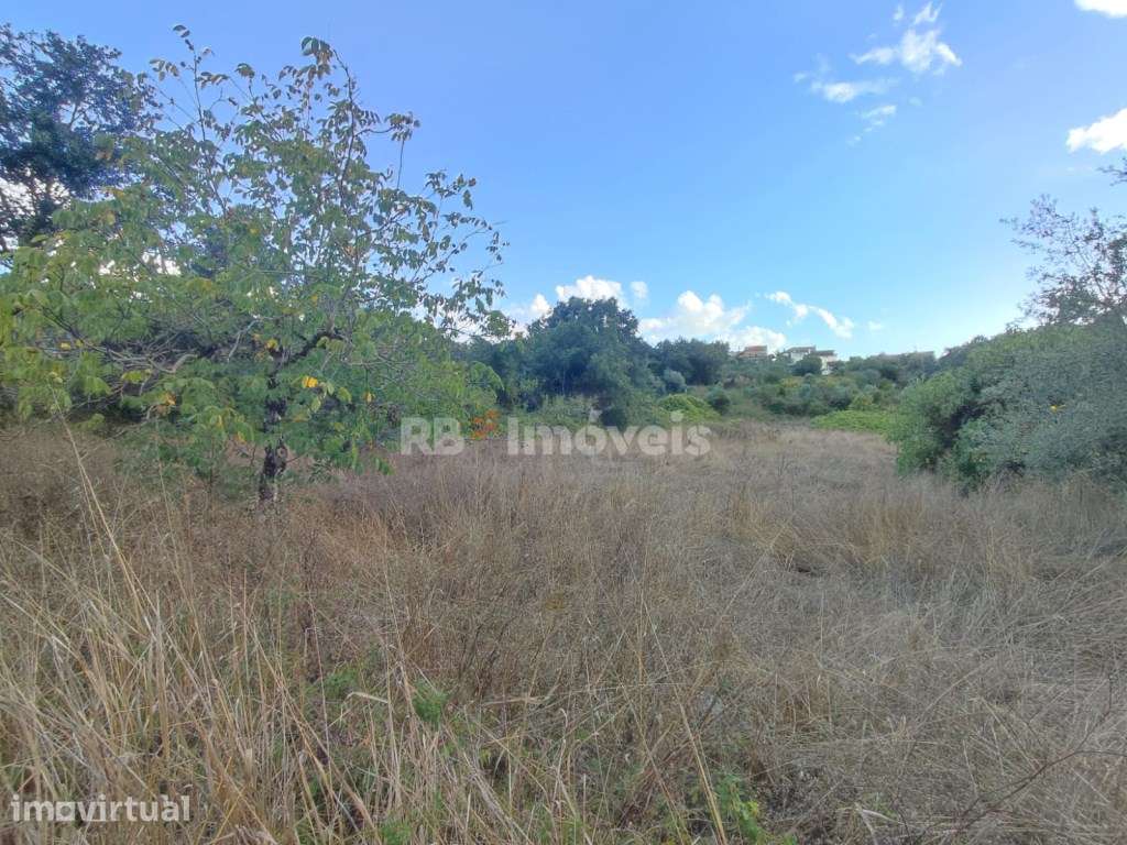 Terreno rústico com 1280m² - Ferreira do Zêzere - Grande imagem: 3/13