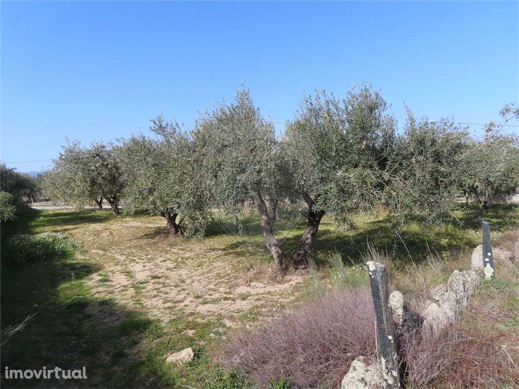 Quinta  para venda - Grande imagem: 4/34