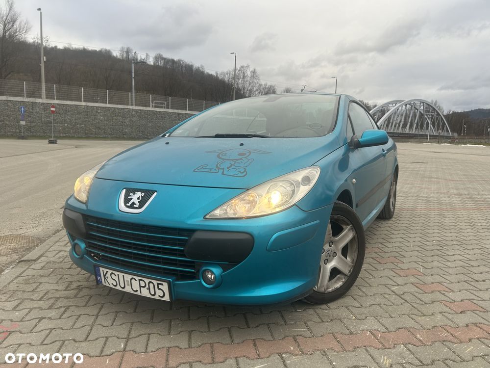 Peugeot 307 CC 180 Sport - 10