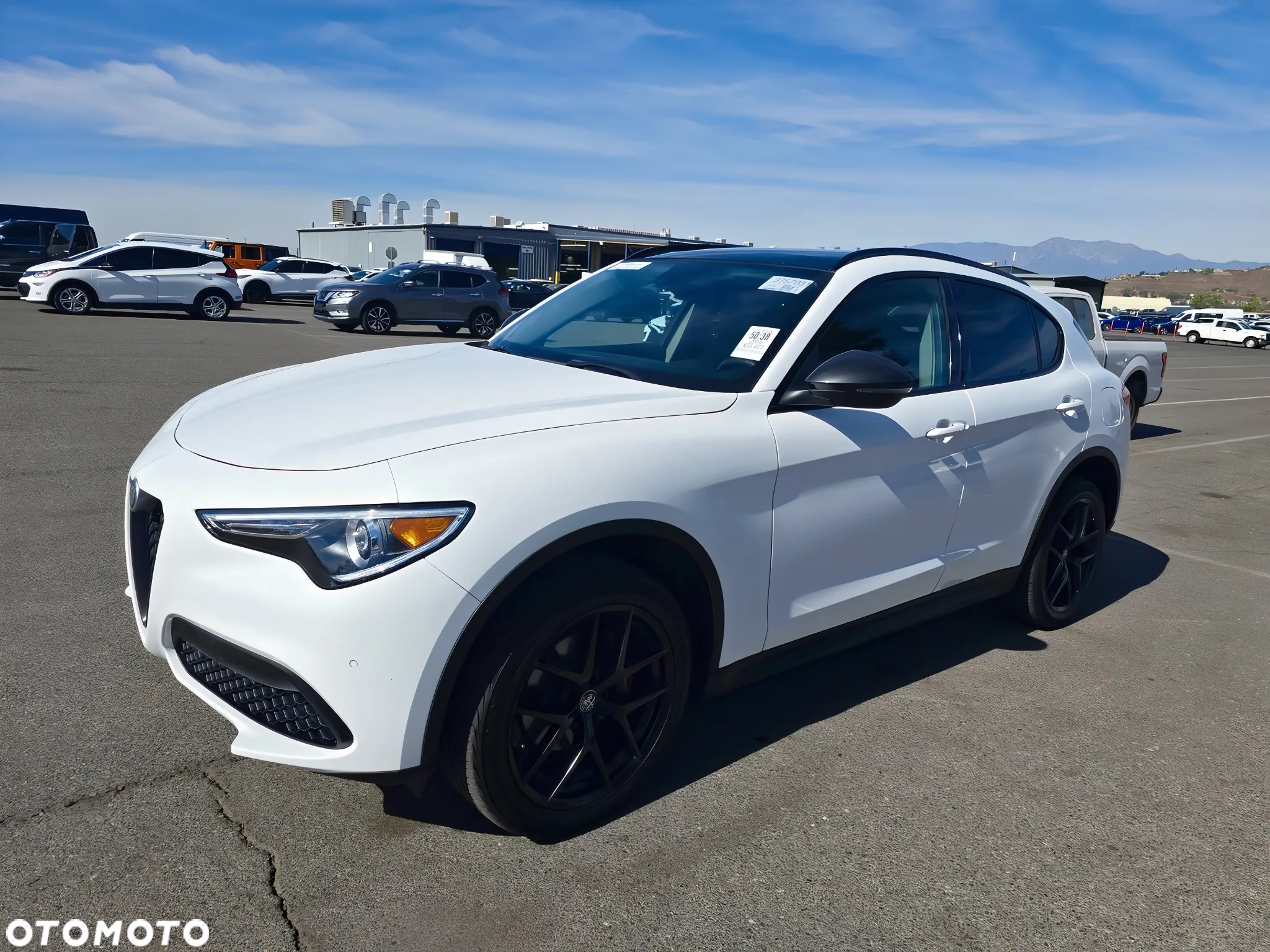 Alfa Romeo Stelvio 2.0 Turbo Executive Q4