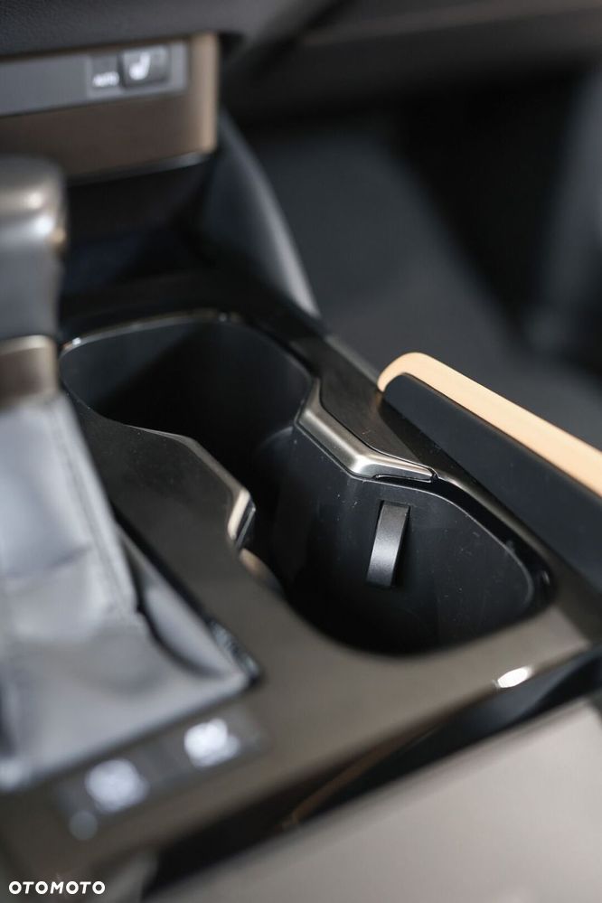 Lexus ES 300h F Sport Design - 19
