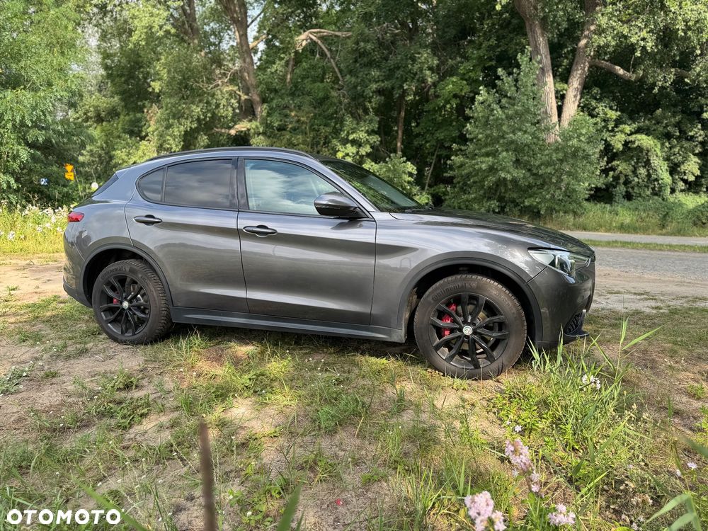 Alfa Romeo Stelvio 2.0 Turbo 16V AT8-Q4 Super - 9