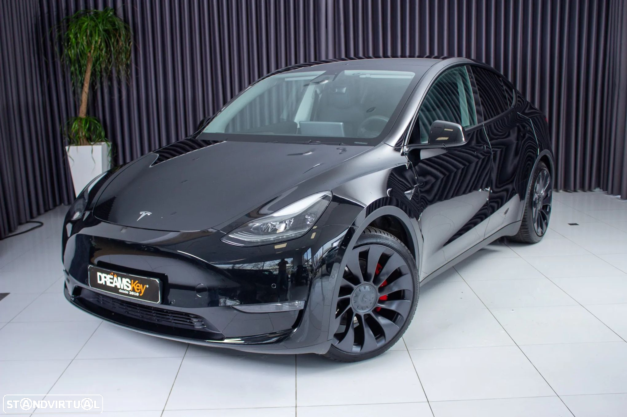 Tesla Model Y Performance Dual Motor AWD - 13