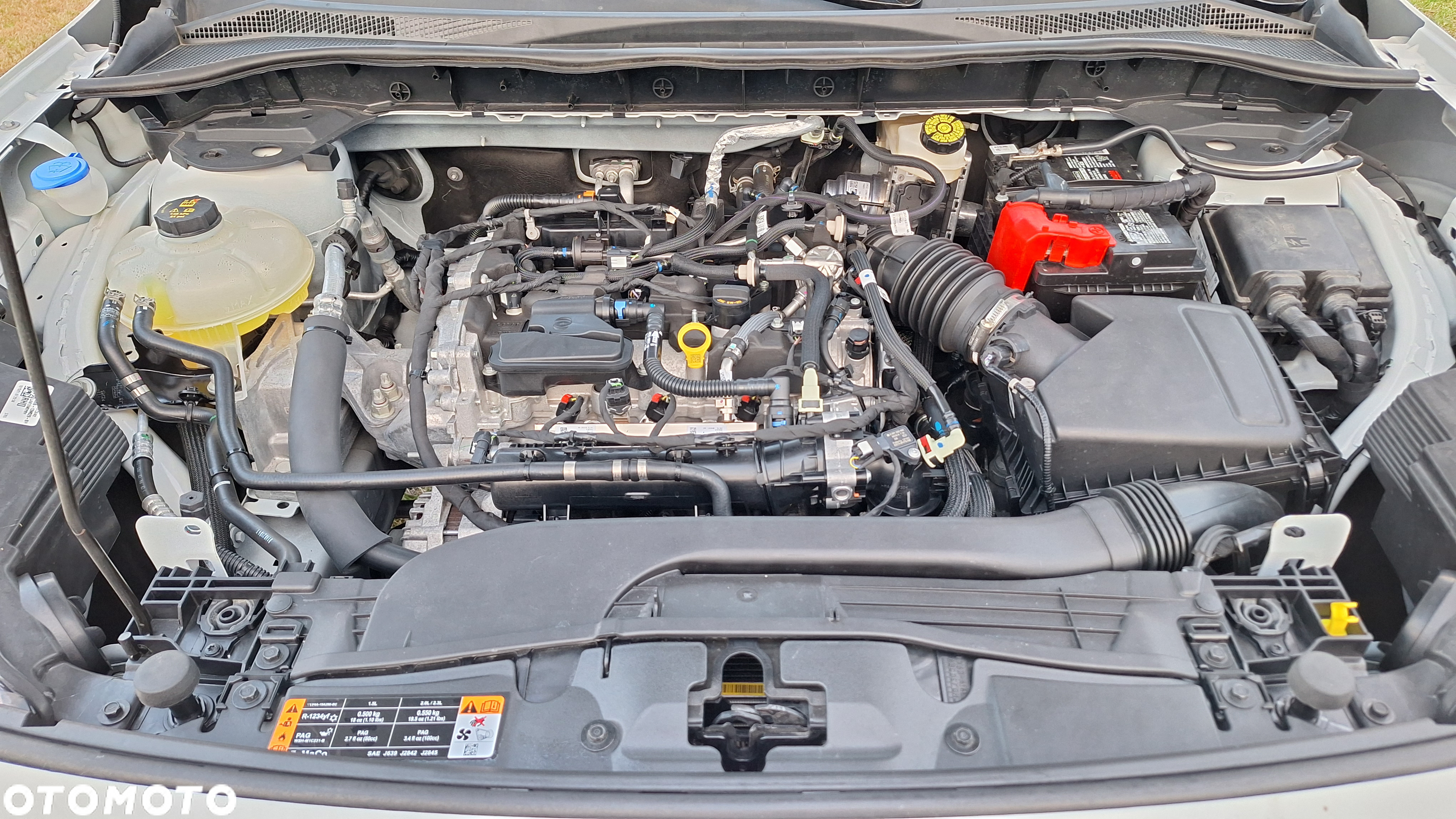 Ford Escape 1.5 EcoBoost AWD SE - 21