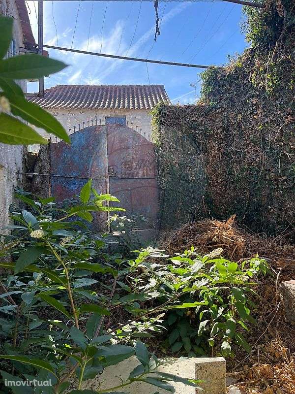 Arrecadação  para venda - Grande imagem: 5/10