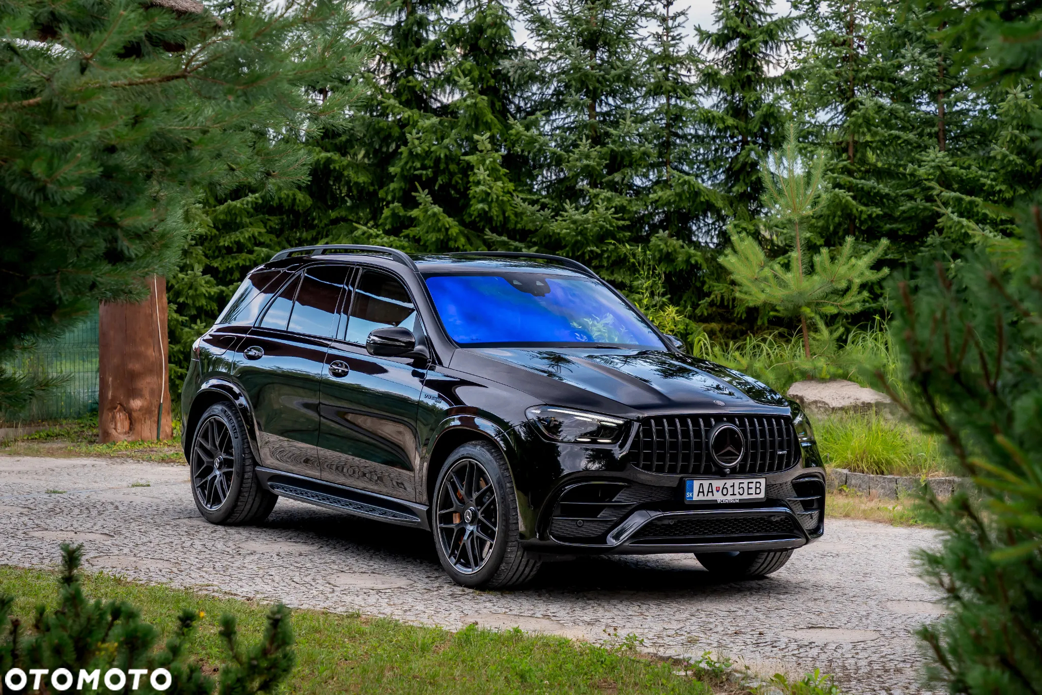 Mercedes-Benz GLE AMG 63 S 4-Matic - 2