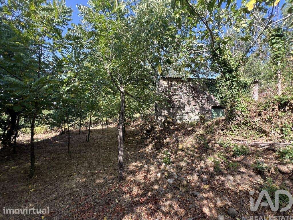 Quinta rural em Serrazes de 223 m2 - Grande imagem: 4/15