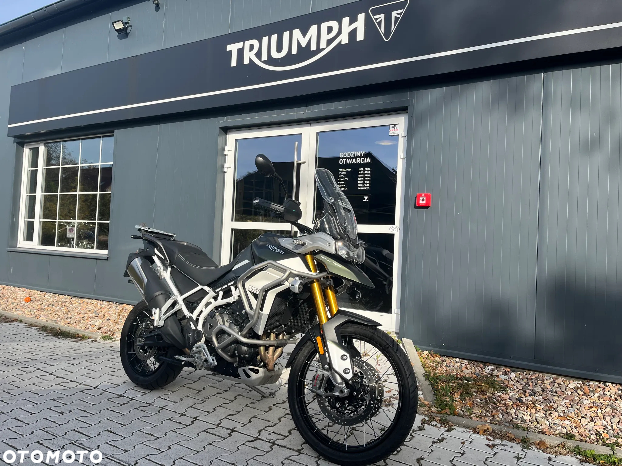 Triumph Tiger - 8