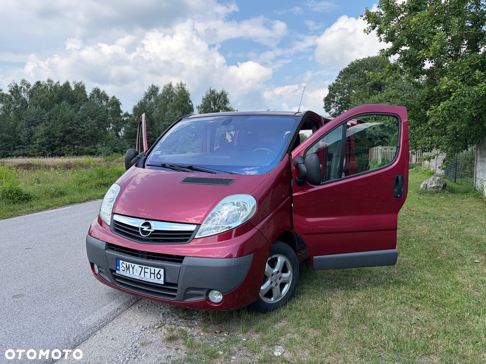Opel Vivaro L2H1 2.9t - 17