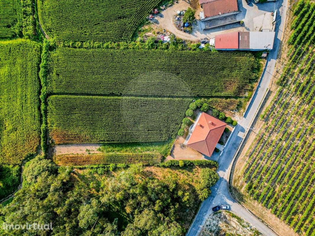 Terreno  para venda - Grande imagem: 4/5