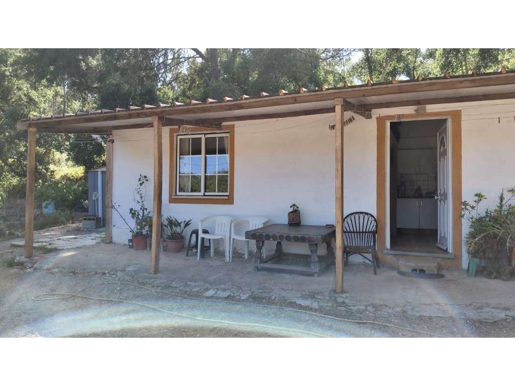Lote em São Teotónio - Grande imagem: 2/29