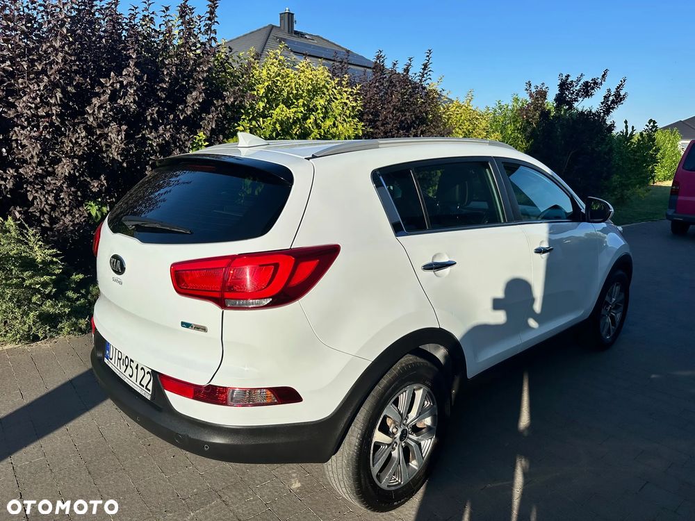 Kia Sportage - 6