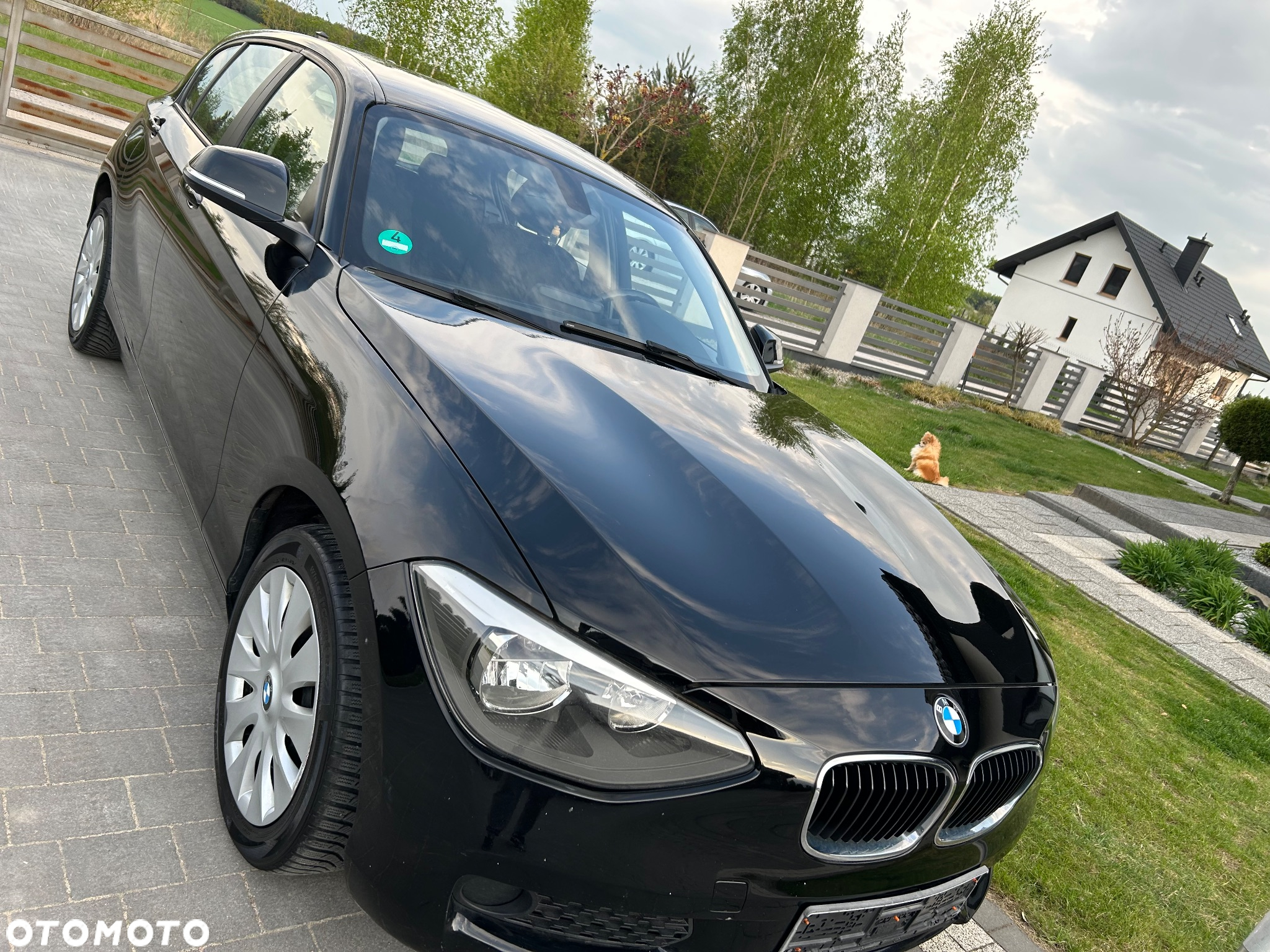 BMW Seria 1 116i - 16
