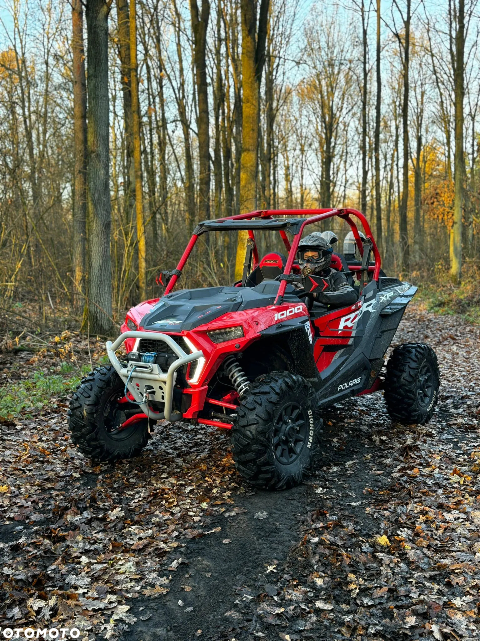 Polaris RZR - 4