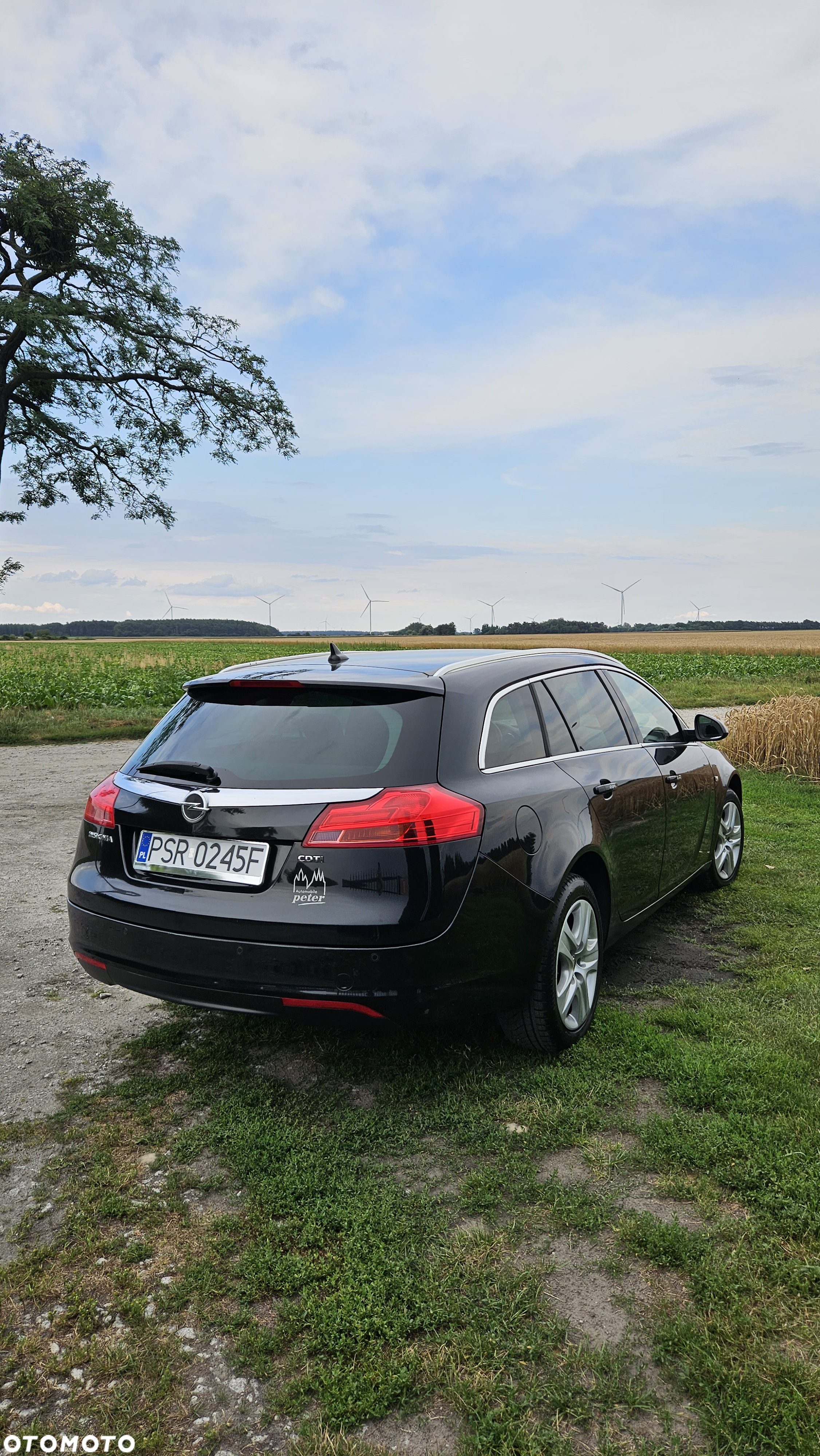 Opel Insignia 2.0 CDTI Cosmo ecoFLEX - 15