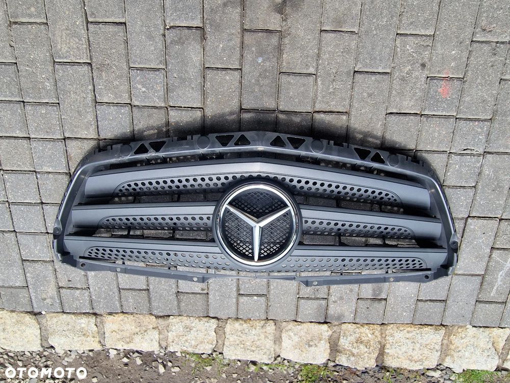 GRIL ATRAPA MERCEDES SPRINTER 906 LIFT - 2