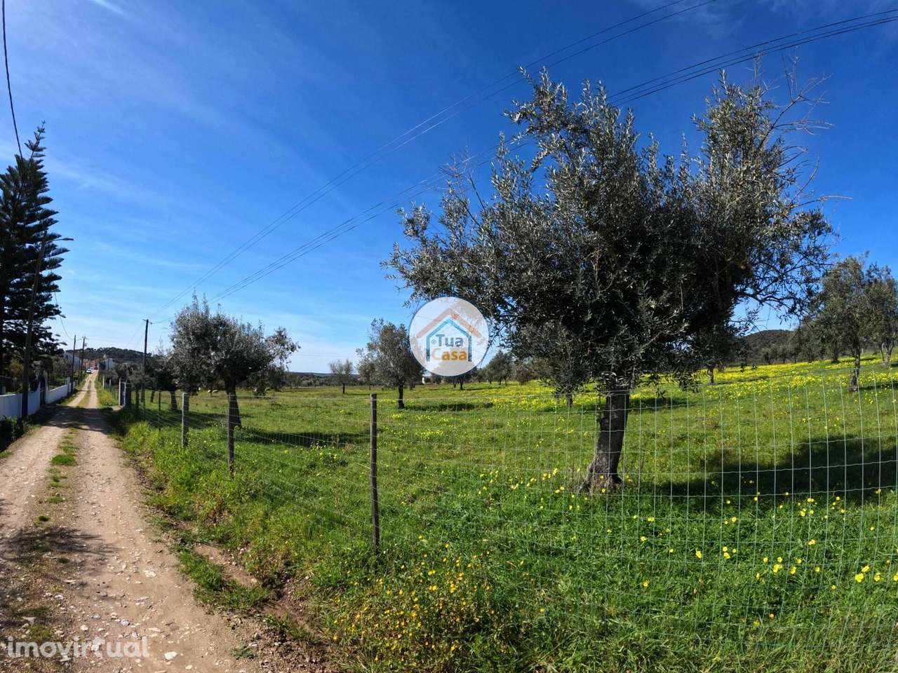 Terreno Urbanizável com 9.750 m2, sendo 3.525m2 Urbano em Santiago do - Grande imagem: 3/15