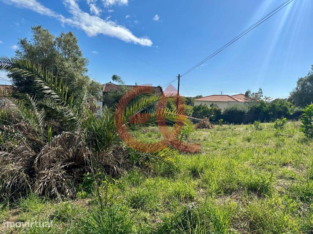 Lote - Serreleis, Viana do Castelo - Grande imagem: 5/29
