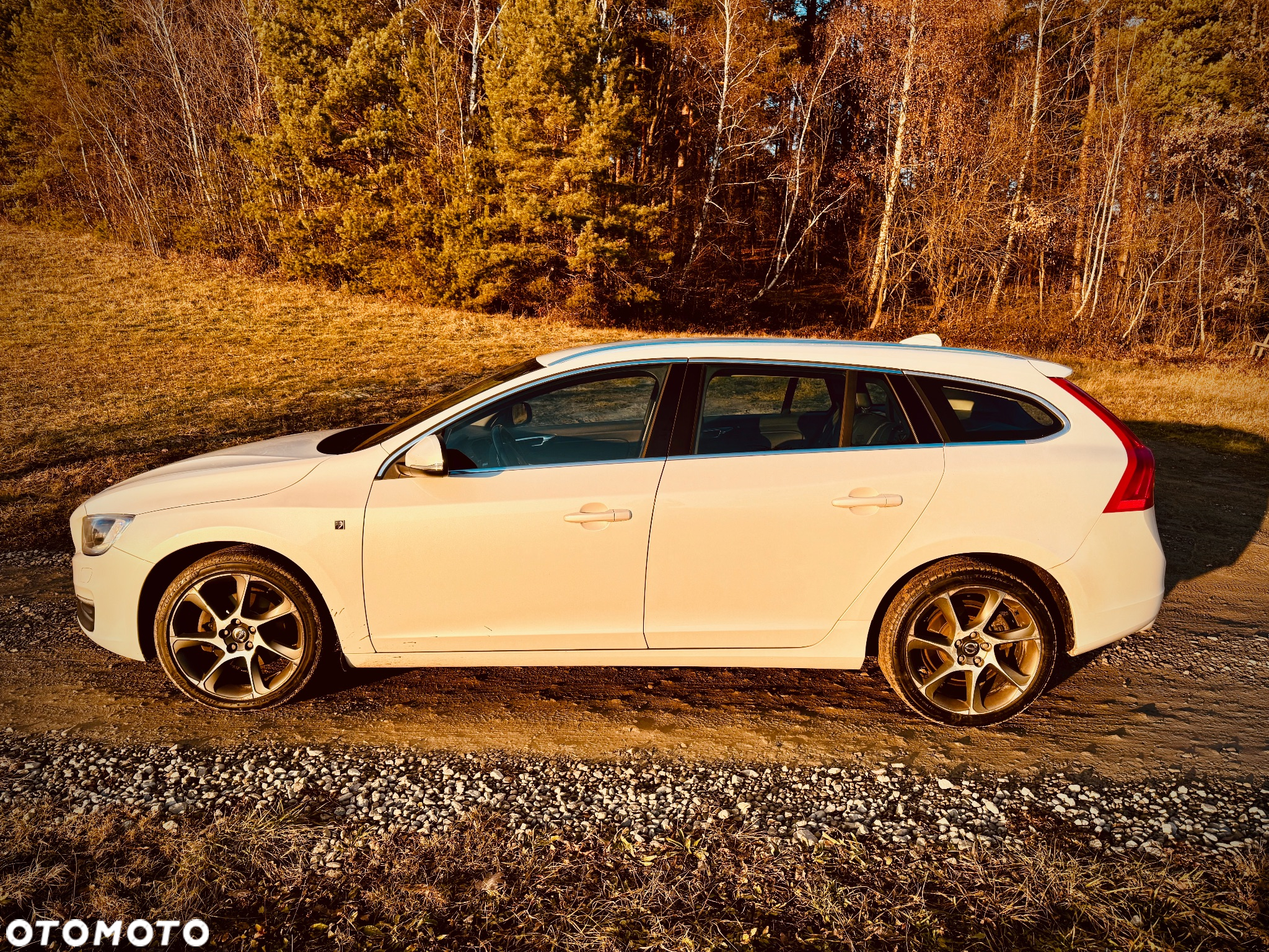 Volvo V60 D4 Drive-E Ocean Race - 2