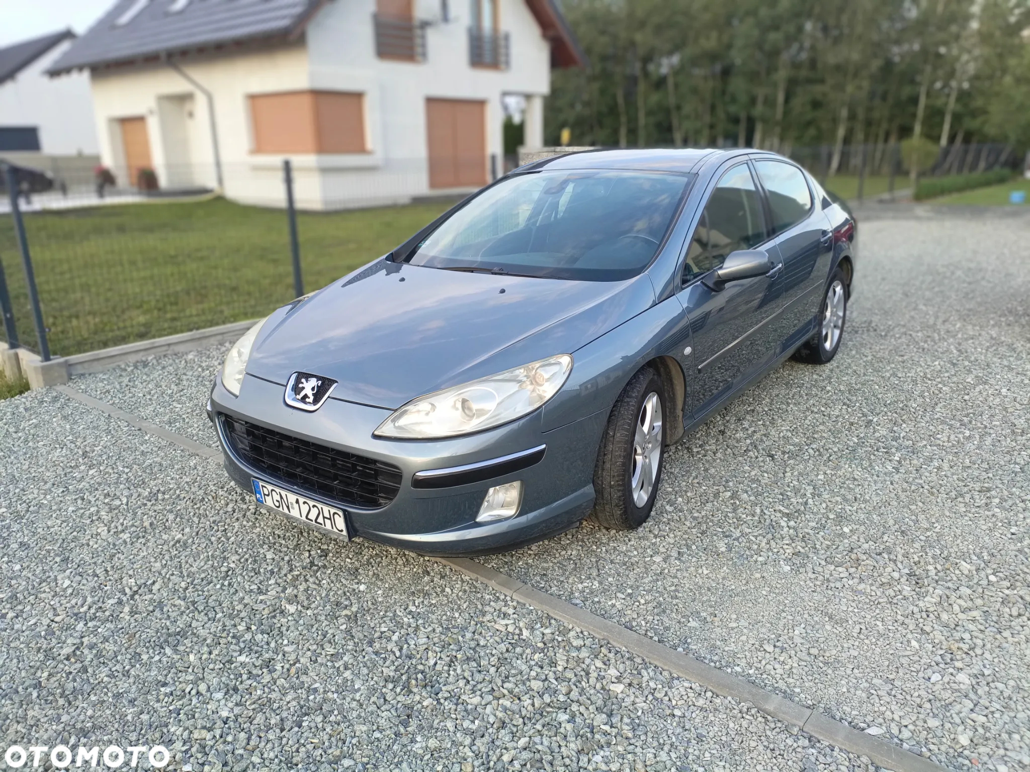Peugeot 407 - 17