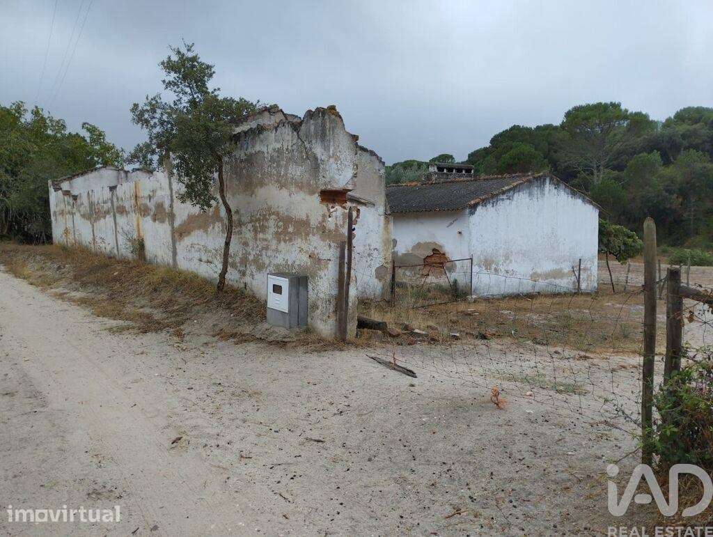 Terreno Agrícola em Galveias - Grande imagem: 3/10