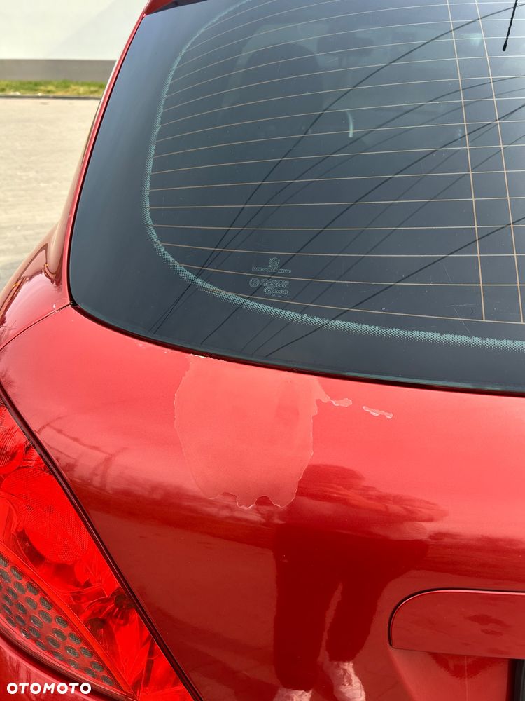 Peugeot 207 - 17