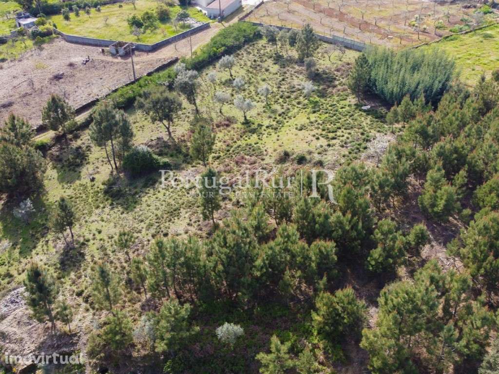 Quintinha com ruínas em Proença-a-Nova - Grande imagem: 5/15