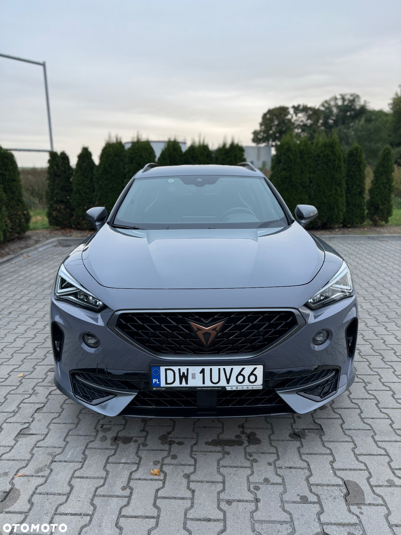 Cupra Formentor 1.5 TSI DSG - 3