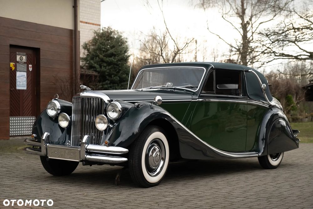 Jaguar Inny - 8