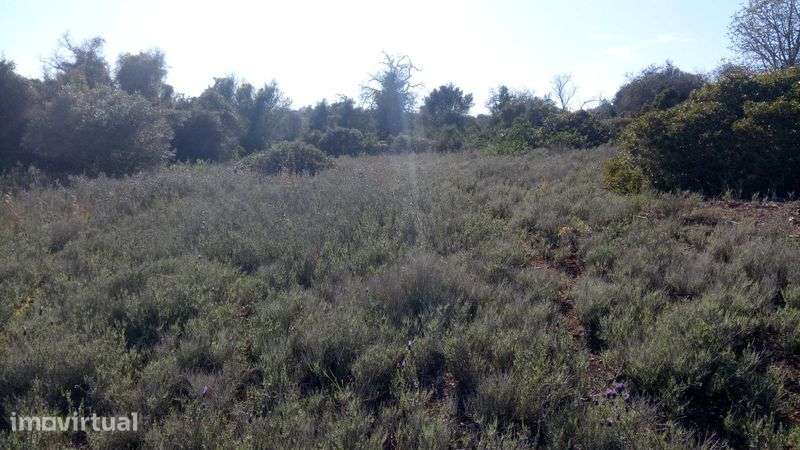 Terreno 4,6 Hect, ruína 120m2, Aldeia dos Matos, Paderne, Albufeira - Grande imagem: 3/12