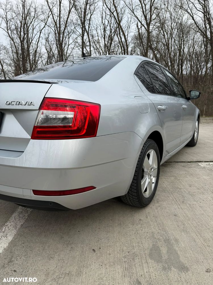 Skoda Octavia - 5