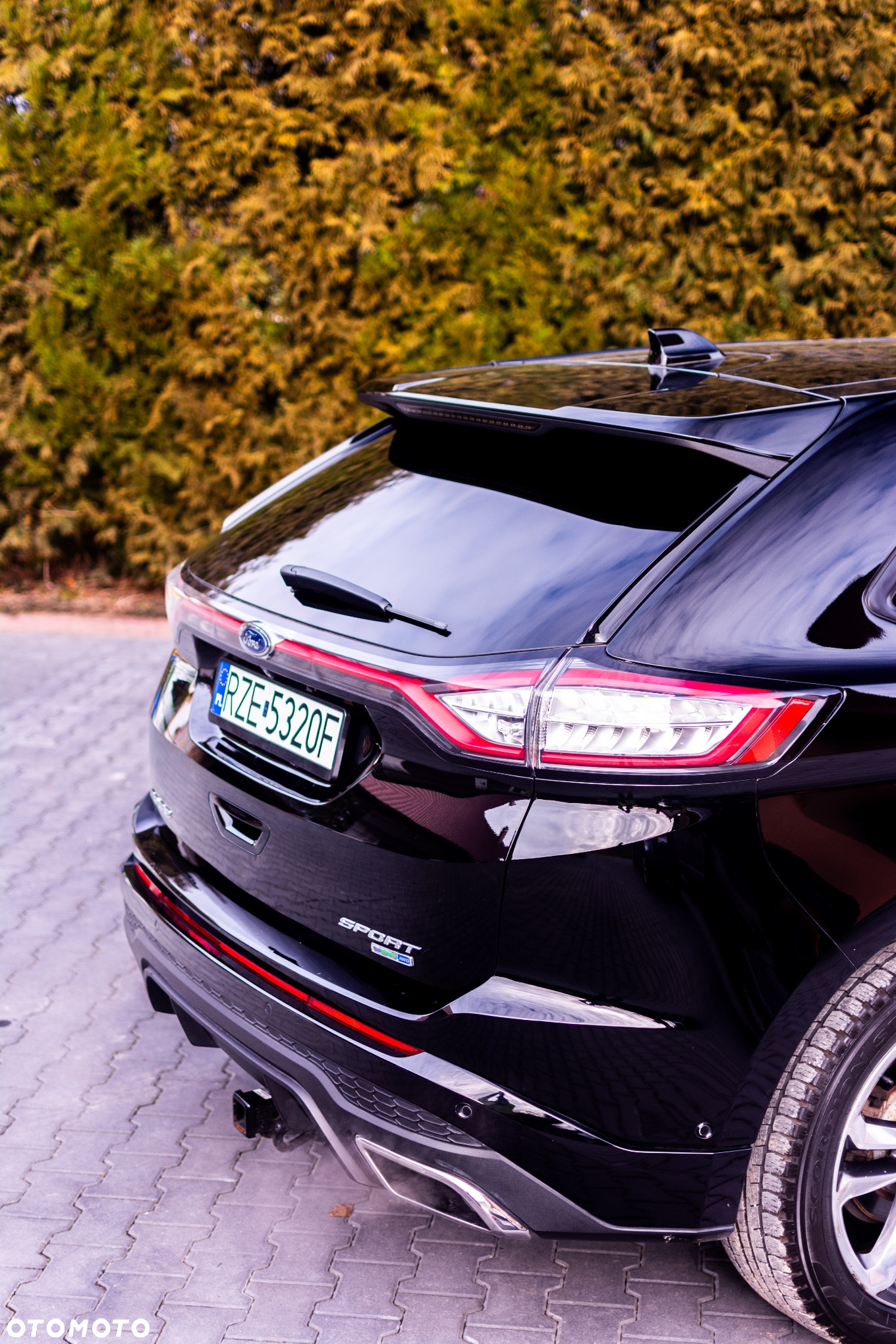 Ford Edge - 7