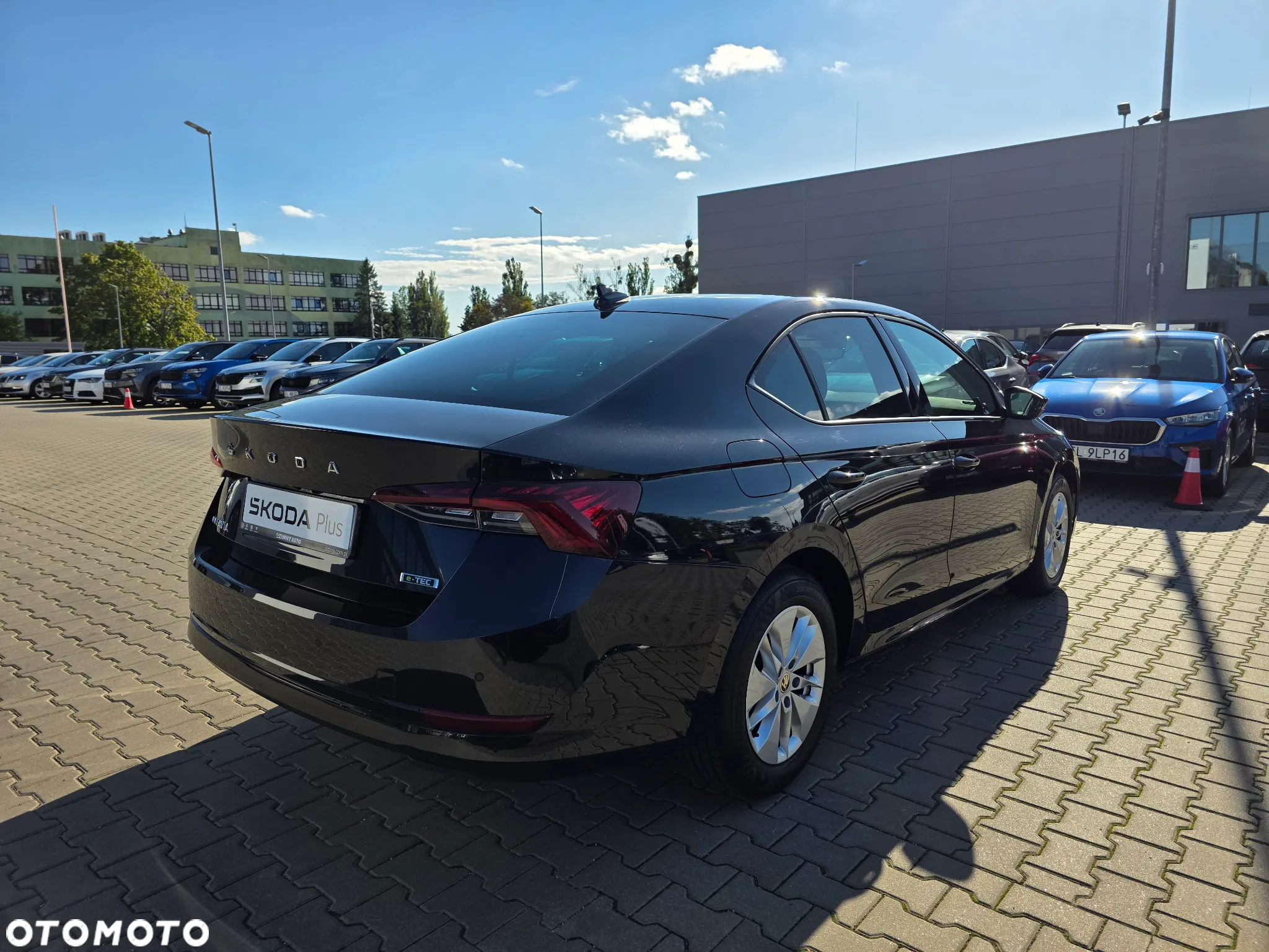 Skoda Octavia - 6