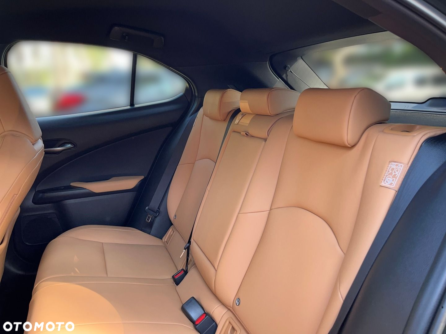 Lexus UX 250h GPF F Sport Design 2WD - 6