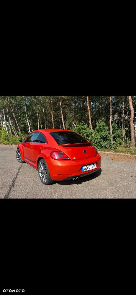 Volkswagen Beetle - 8