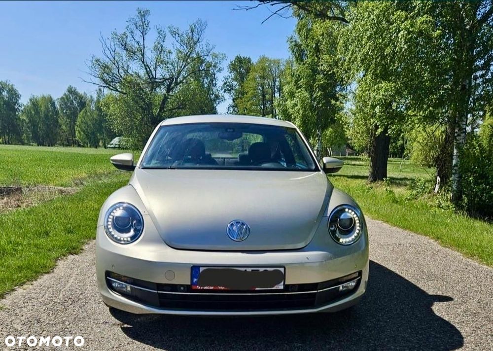 Volkswagen Beetle - 2