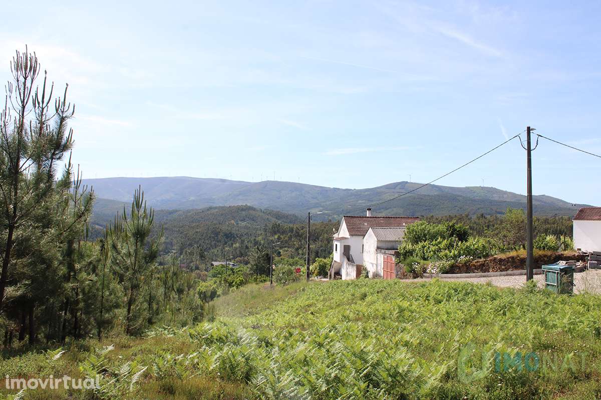 Quinta - Grande imagem: 3/42