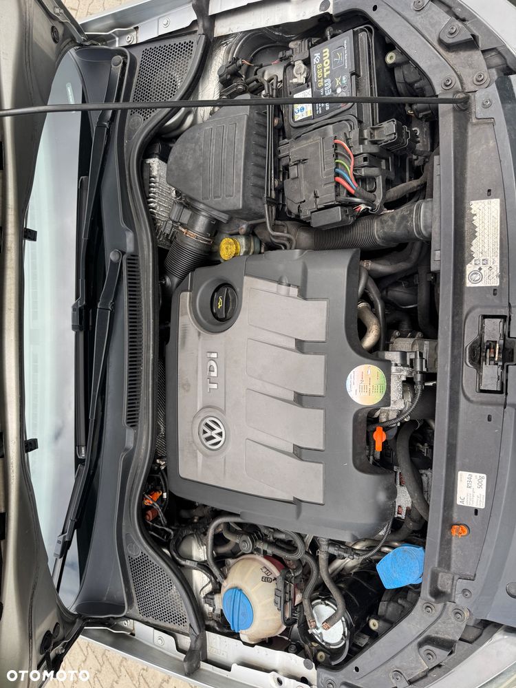 Volkswagen Polo - 18