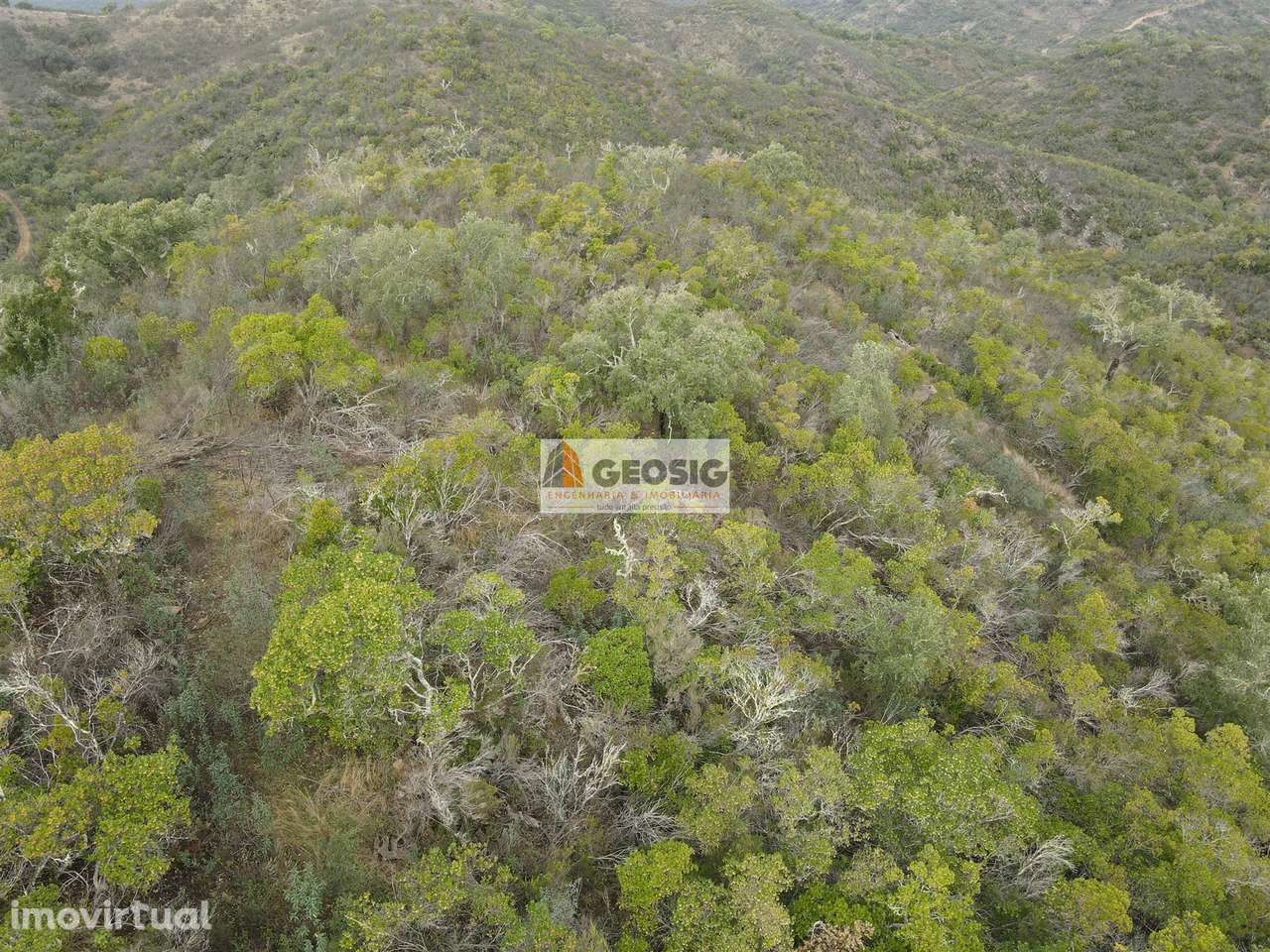 Terreno Rústico  Venda em São Barnabé,Almodôvar - Grande imagem: 5/31